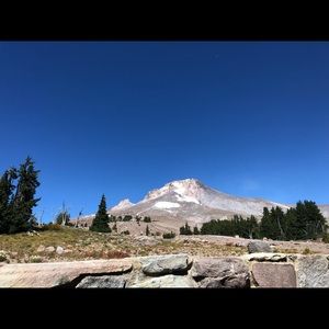 Meet your Posher, Fiona